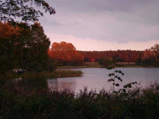 Der Kluge See